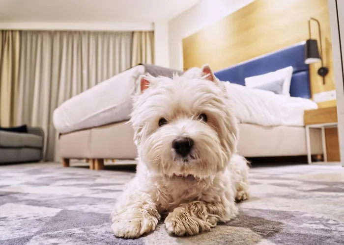 Seaside Park 코워브제크