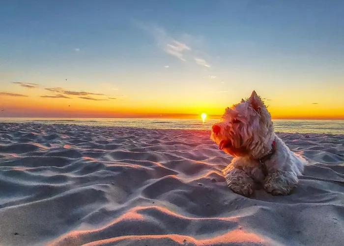 Seaside Park Hotel 4*