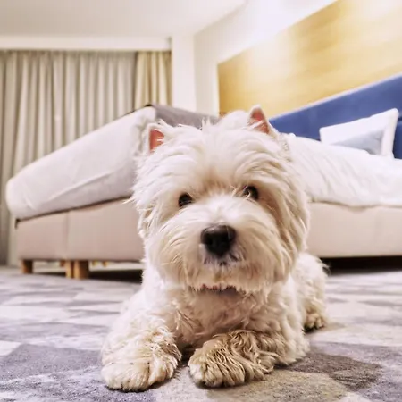 Seaside Park Kolberg