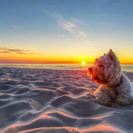 Seaside Park Hotel 4*